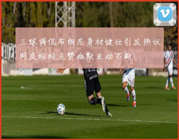 三球调侃布朗尼身材健壮引发热议网友纷纷点赞幽默互动不断